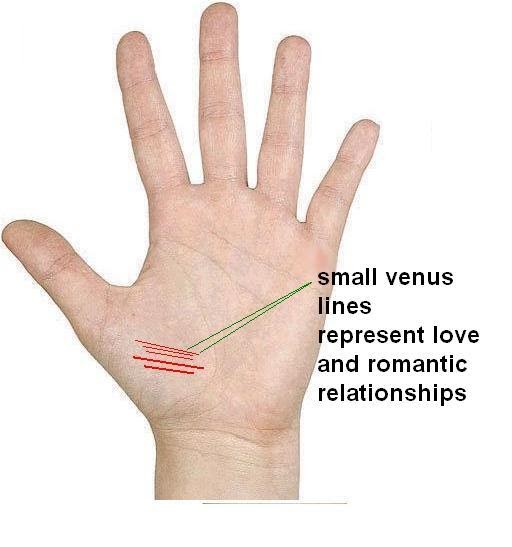 palmistry Know your Future Net on mount of venus